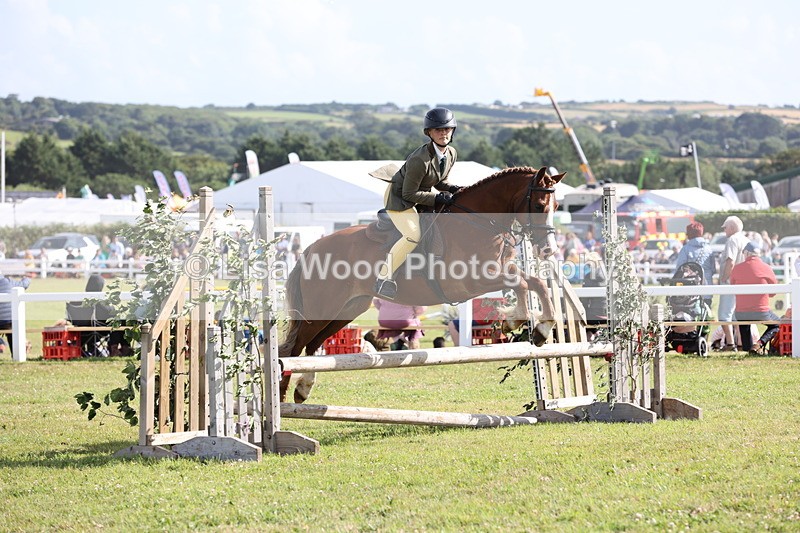 JPP_2756 - Class 20: Working Hunter 70cm