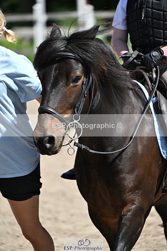 240729B-113254-02428 - Showjumping Competition
