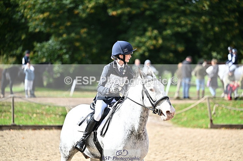 251005A-133419-04092 - Cls 09 Nov 80-85cm