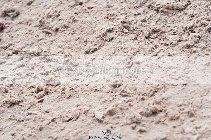 250425-120056-08708 - Cls 55 Veterans Major Tour