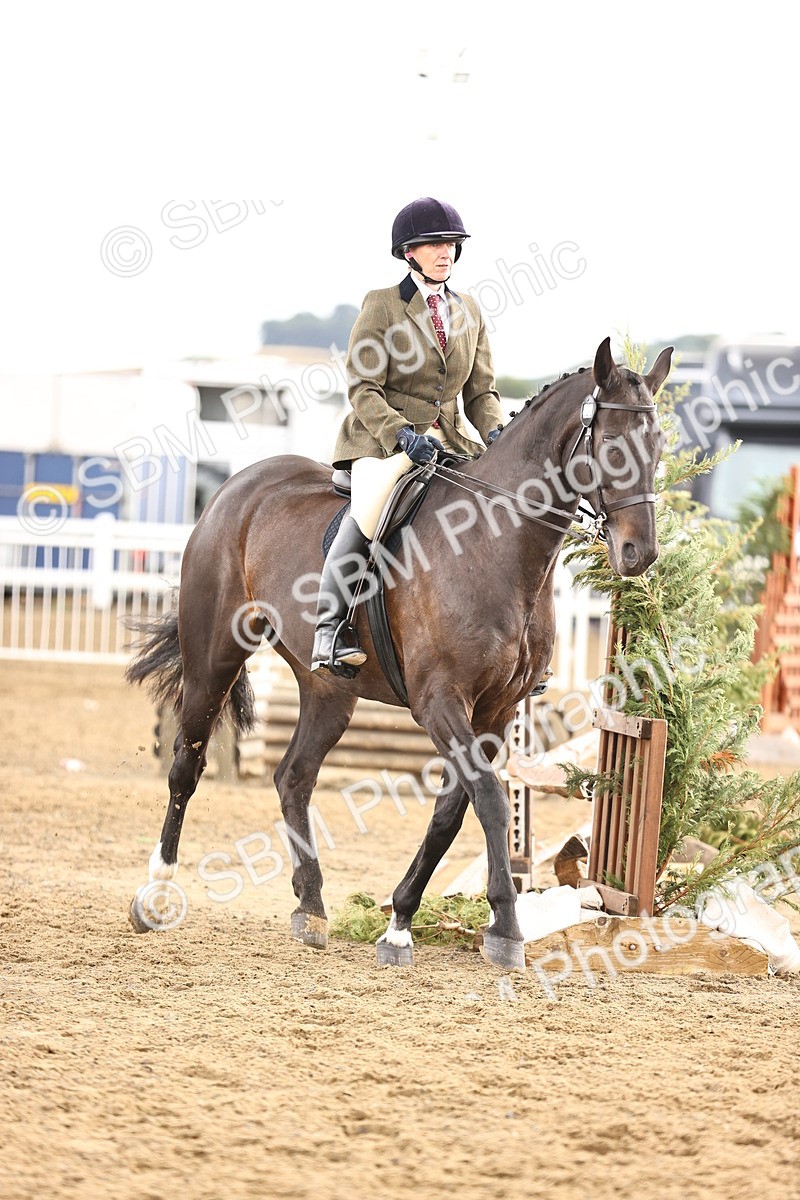SBM_00676 - Class 53 - Ridden Competition Horse Pony