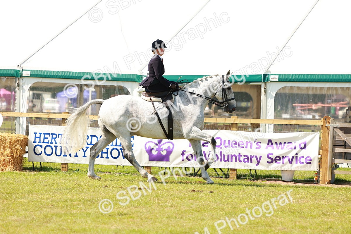 SBM_13202 - Class 70-71 - Side Saddle