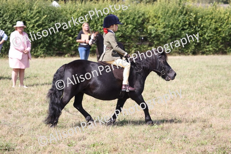 20260906-3070 - Class 18 - Childs First Pony