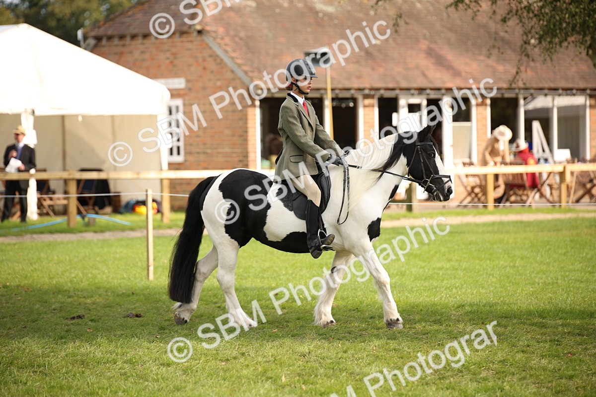 SBM_54236 - S27 - Mature Veteran - Ridden