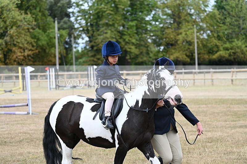 WJ7_6660 - Class 1 Lead Rein Pony
