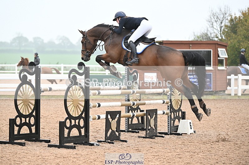 241102A-100730-03704 - SAT Cls 14 Blue Chip Joint Care Power Champ Quali