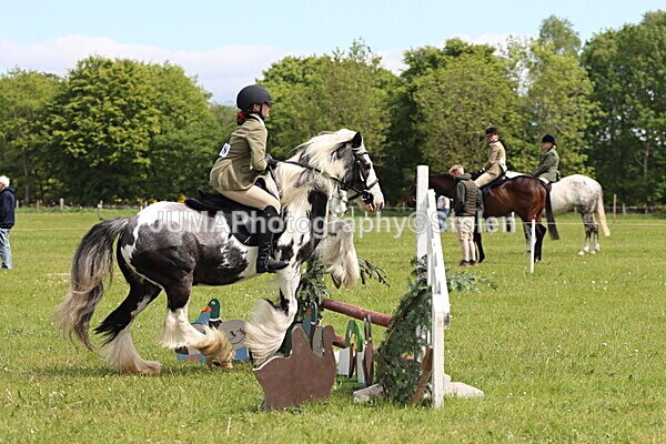 IMG_3177 - Working Hunter