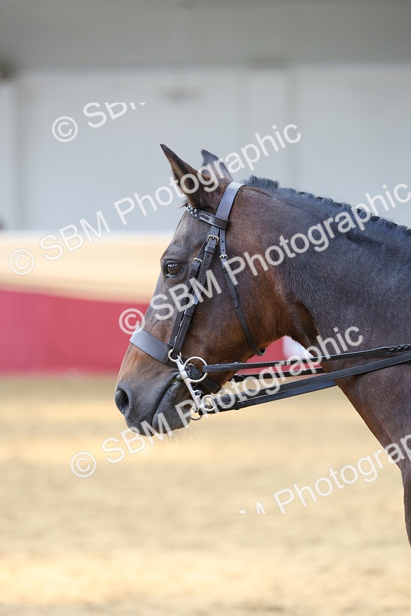 SBM_24147 - Class 905 - Supreme Final - Ridden Veteran
