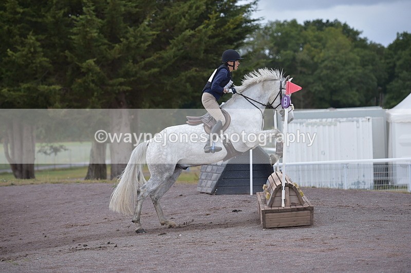 NGP_2279 - XC Time 11:20 to 11:36