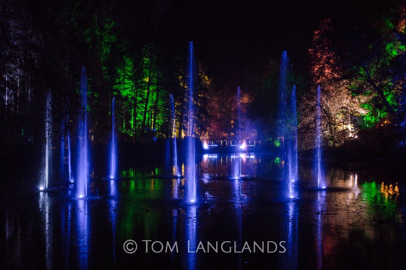 The Enchanted Forest - Events