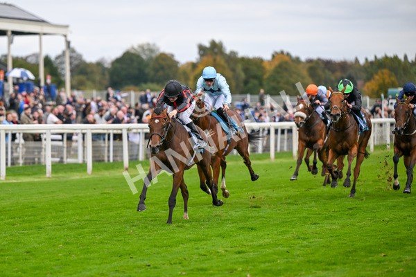 101025-Race 4-Thaluna-6805 - Race 4 William Hill Best Odds Guaranteed EBF Novice Stakes at York