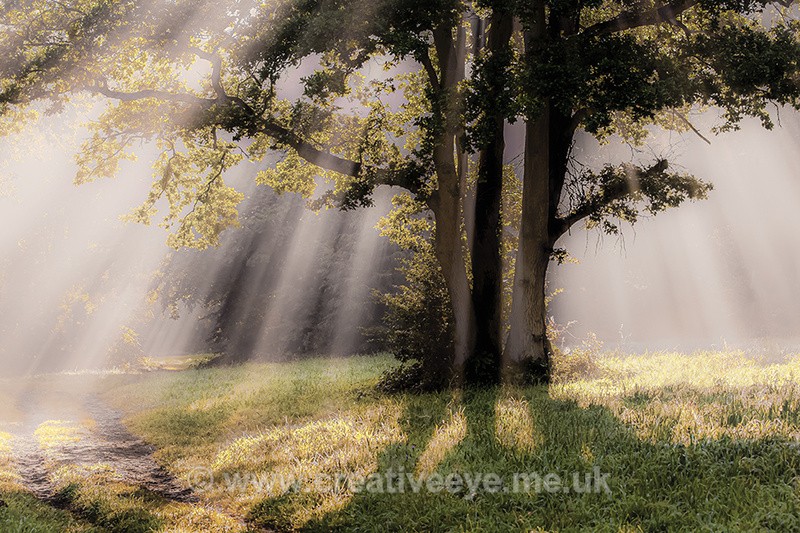 No.0045 Heaven on Earth. - Landscape