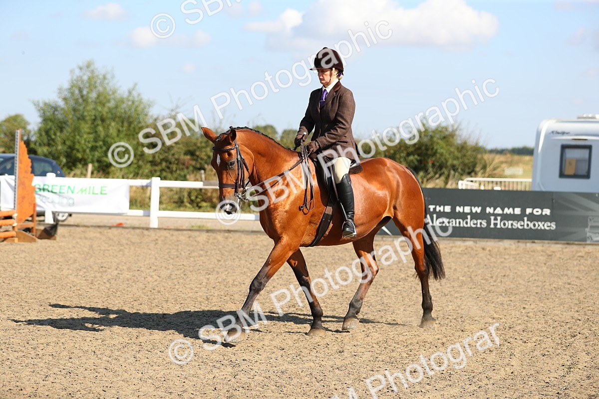 SBM_02274 - Class 43 Ridden Competition Horse/Pony