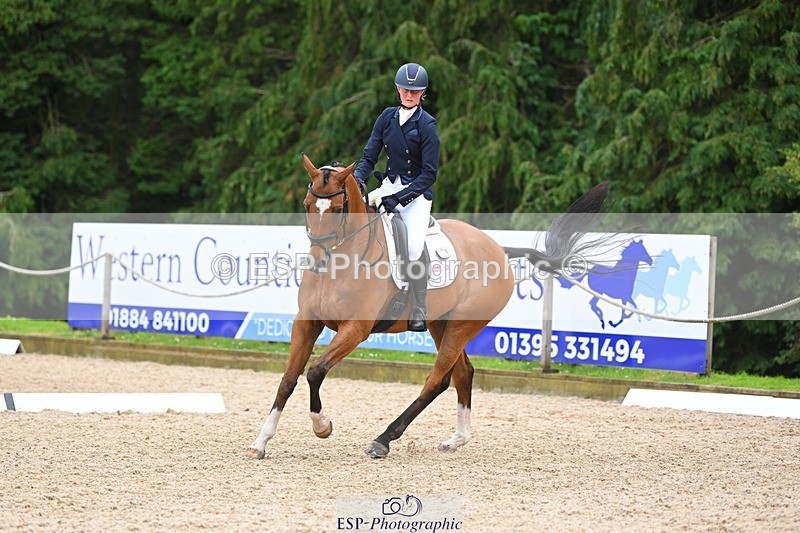 230813-133134-07590 - Cls 13 Medium Bronze 13.15 to End