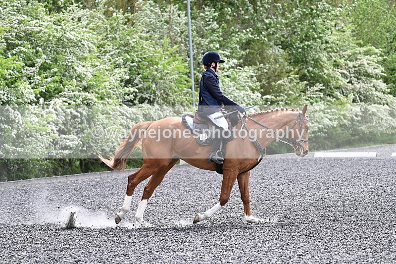 WJ7_0829 - Time 14:01 to 14:12