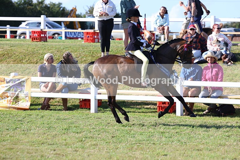 3E7A4269 - Supreme Championship