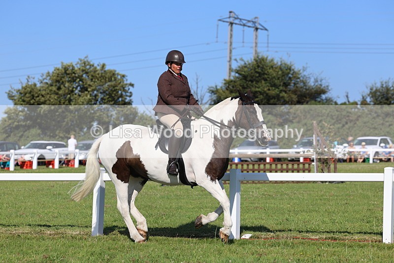 IMG_1480 - Class 30: Ridden Native/Trad Coloured Pony