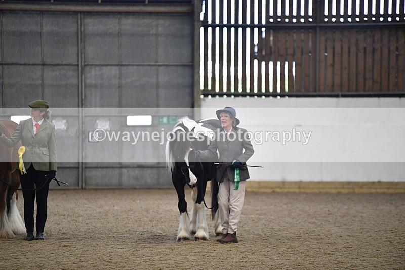 WJ5_5588 - Class 4 In hand M&M - small breeds