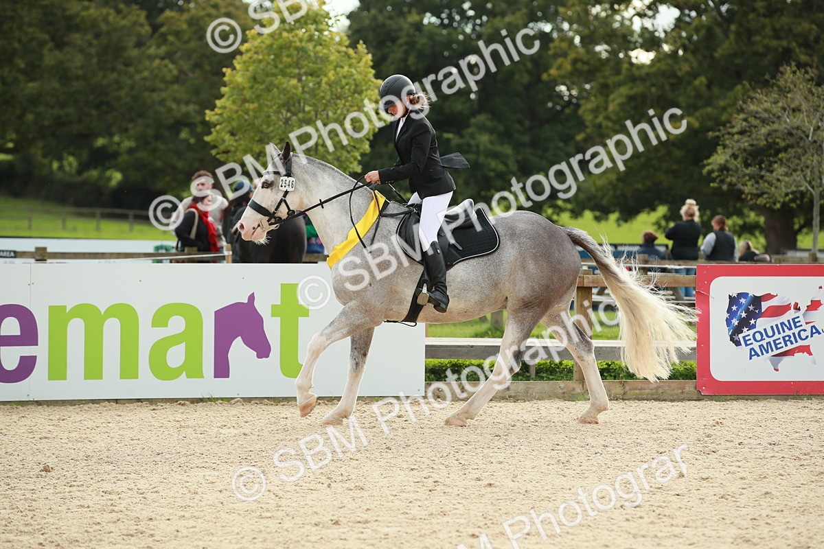 SBM_10280 - J31 Senior 75cm Championship