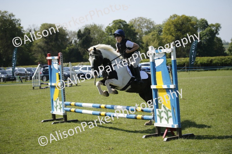 20250427-2236 - Class 13 - Novice Jumping 60cm