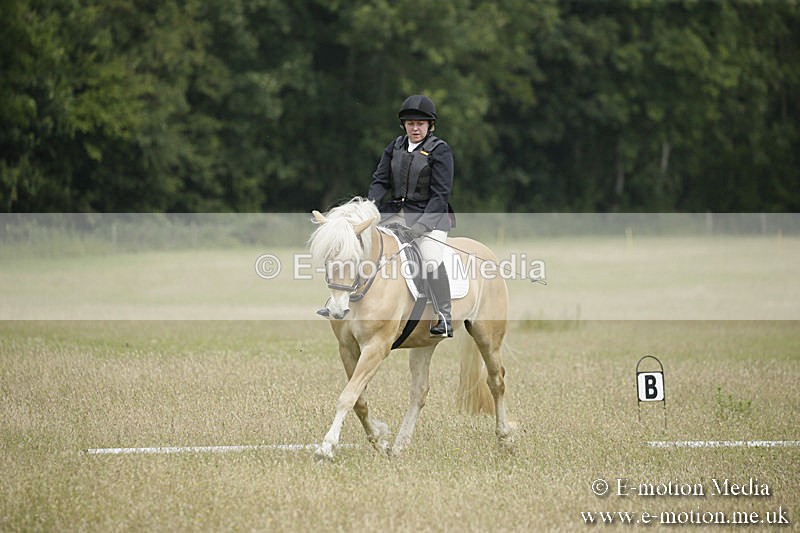 B230619-0421 - Bourne Valley Riding Club Summer Show 23/06/19
