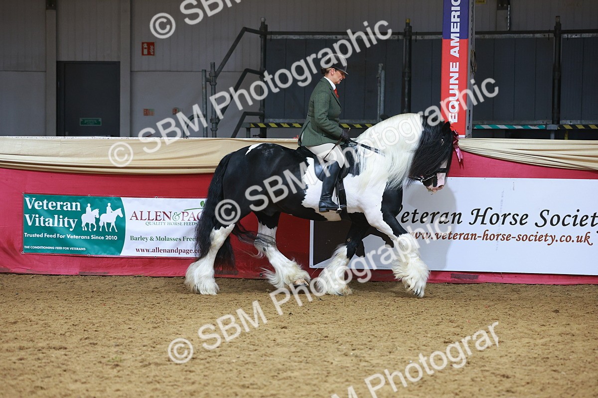 SBM_09392 - Class 102 - HOYS Veteran Qualifier - Ridden Veteran