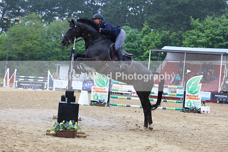 3E7A7358 - Class 8: Senior Foxhunter/1.20 open