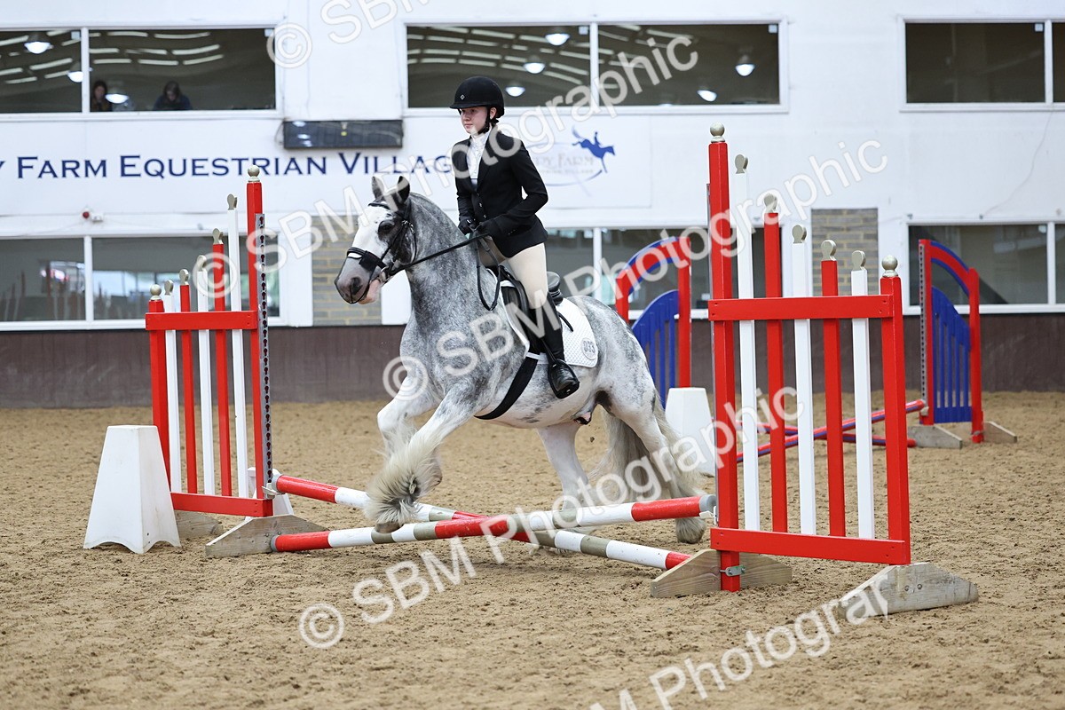 SBM_006901 - Class 1 - 40cm showjumping