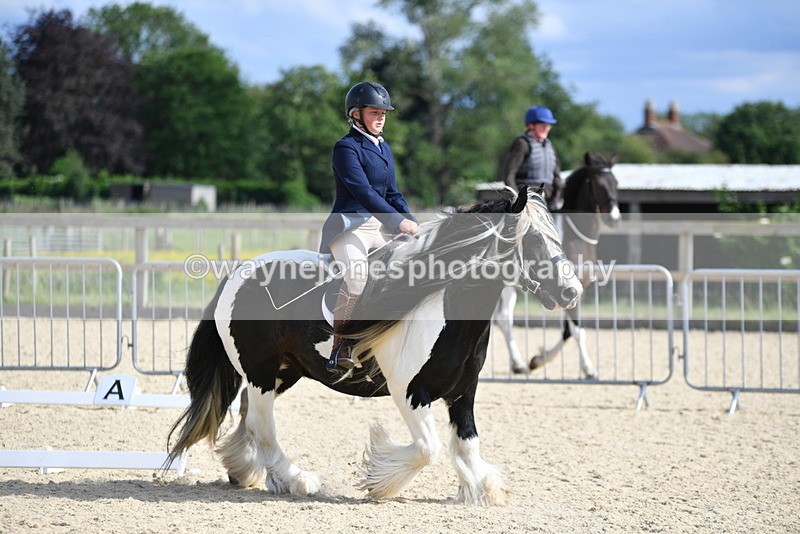 WJ5_7734 - Time 16:40 to 16:55