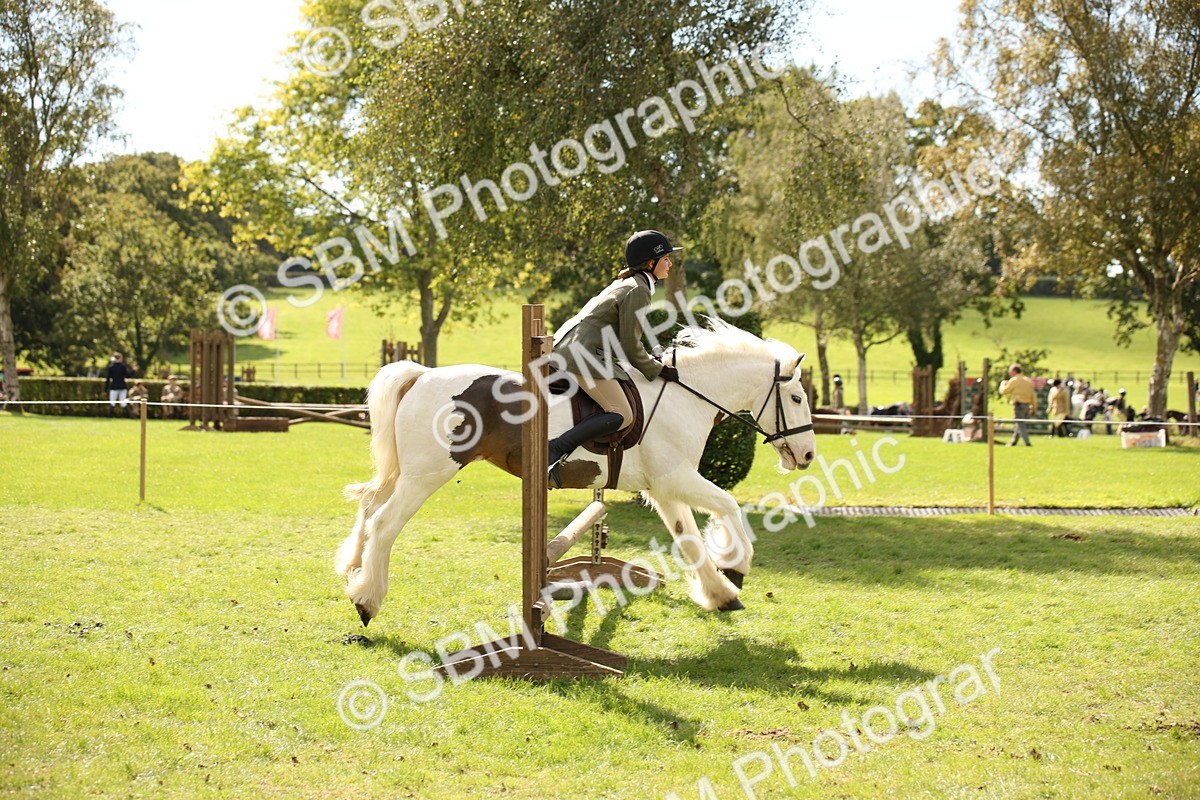 SBM_42292 - S13 - Pony Club Pony