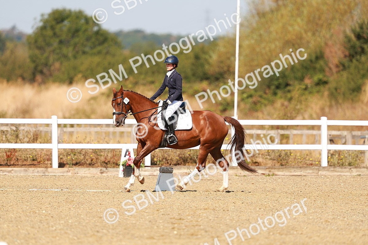 SBM_017639 - Class 9 - N5 Bronze 10.33.11.36