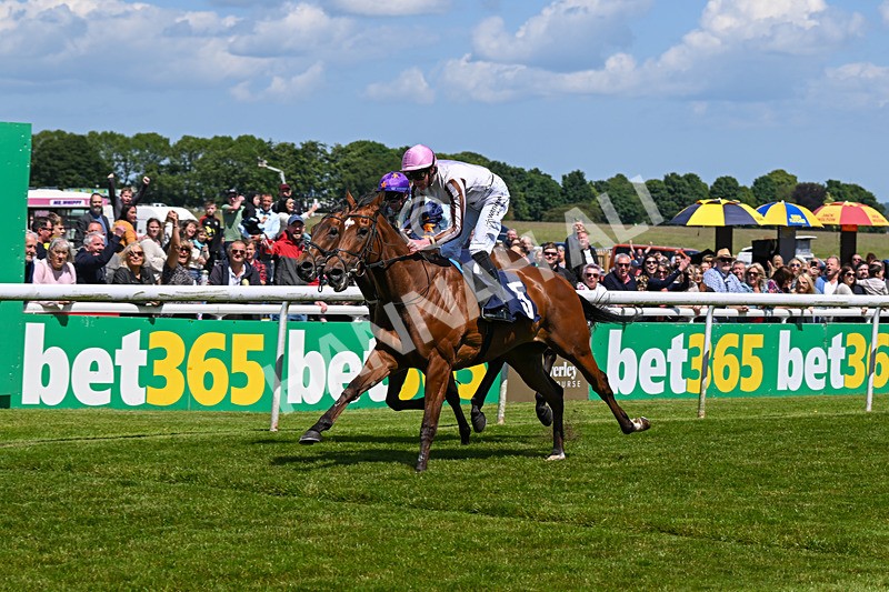 080624-Race 1-Remoji-0504 - Race 1