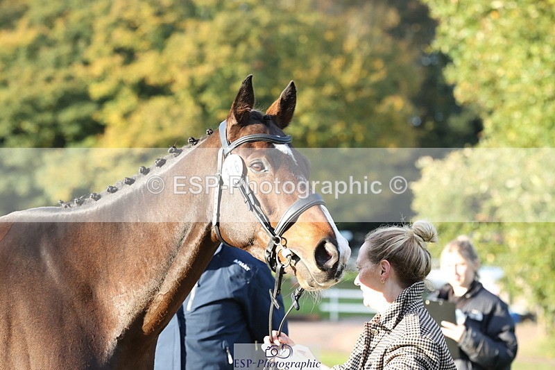 251026A-092919-22292 - D-316-Abby.James