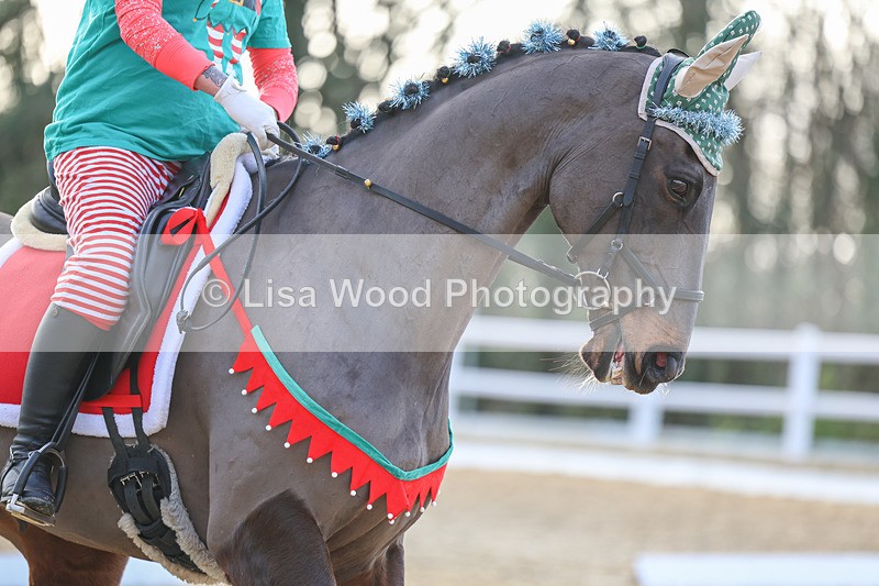 3E7A4611 - Class 4: Prelim Section B