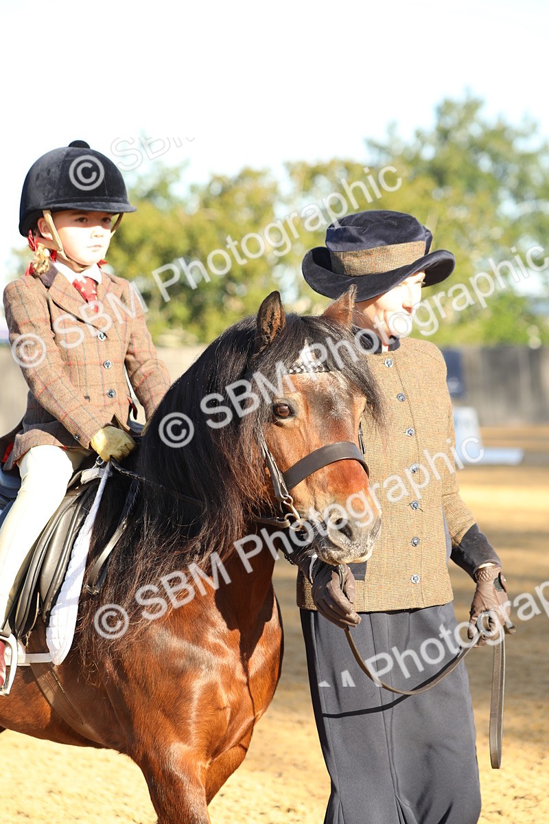 SBM_33671 - D26 - Starers - Lead Rein