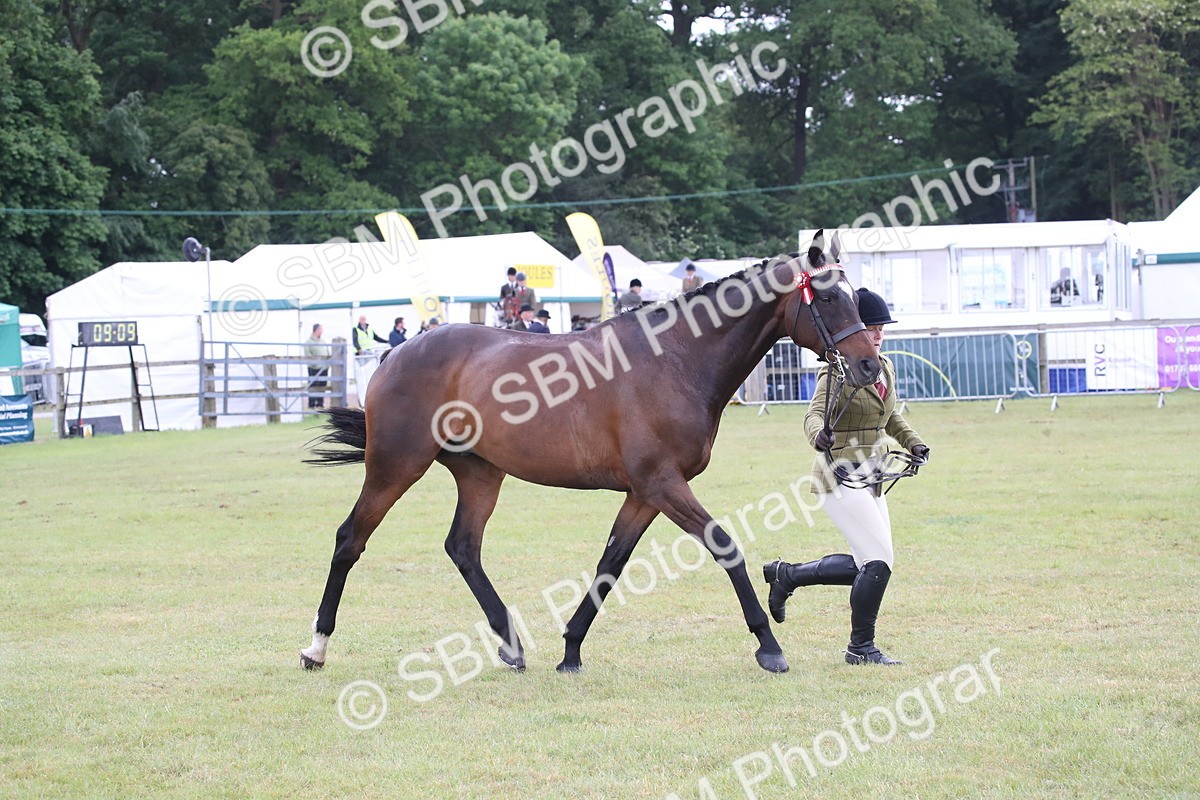 SBM_11456 - Class 94 - LIHS BSHA Racehorse to Showhorse