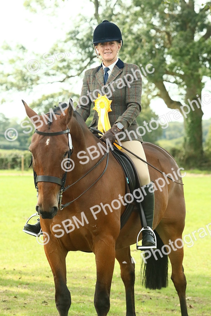 SBM_66783 - S34 - Rehabilitated Rescue Horse & Pony In Hand & Ridden