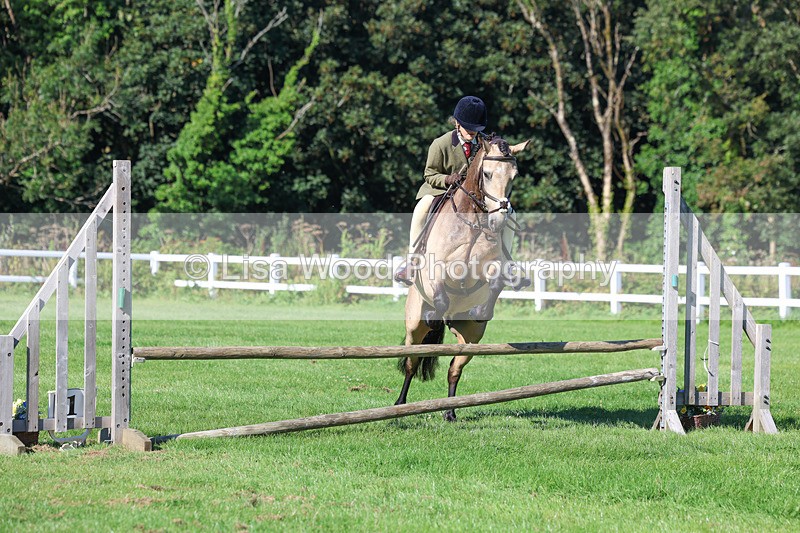 3E7A7728 - Class 2: Open Working Hunter pony
