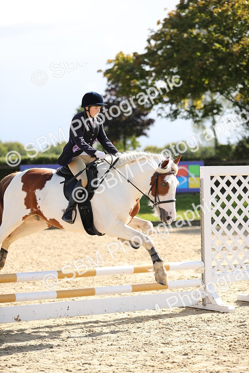 SBM_40186 - J21 - Junior Horse 60cm Championship