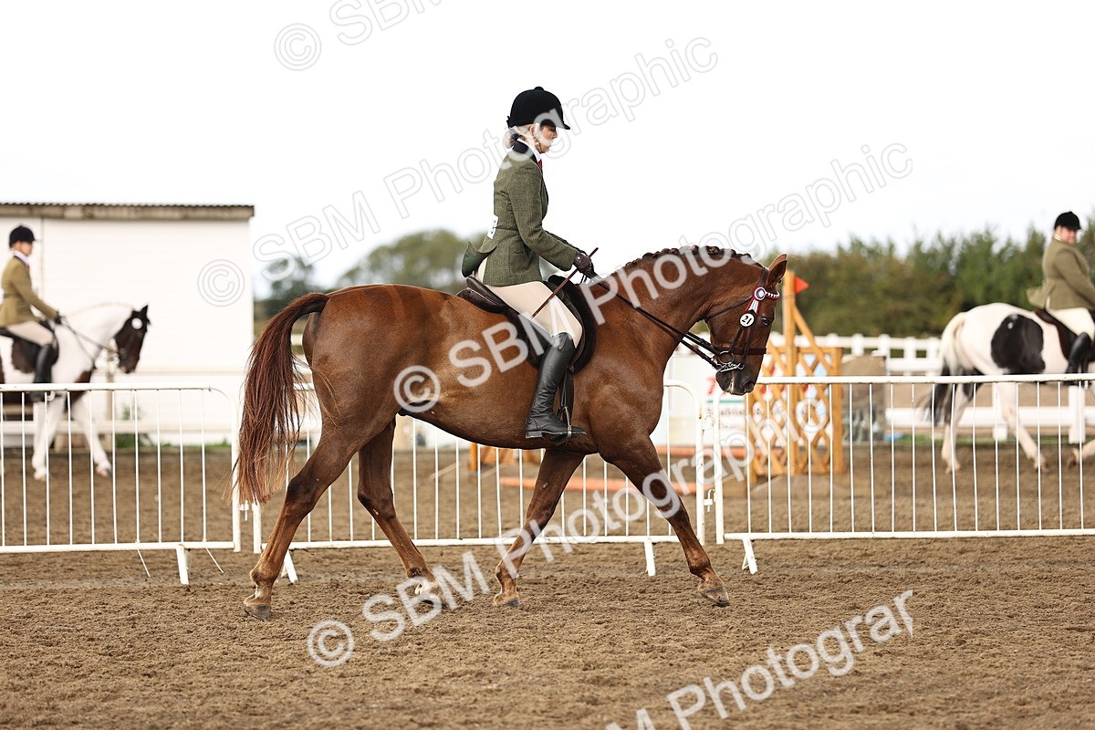 SBM_00673 - Class 53 - Ridden Competition Horse Pony