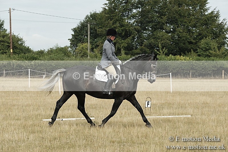 _PJP5622 - Dressage Classes BVRC Show 2018