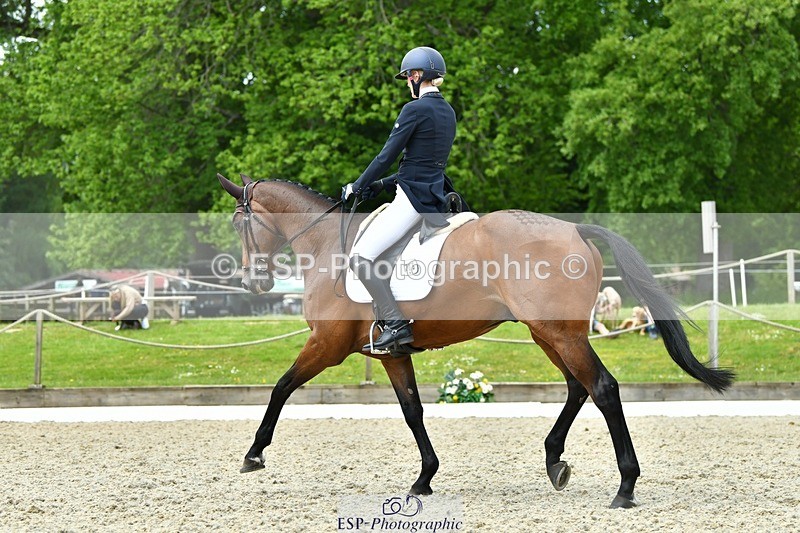 230525-115938-04142 - 205-ARTICUS-Maja_Hullah-WEDTrotUp+DR