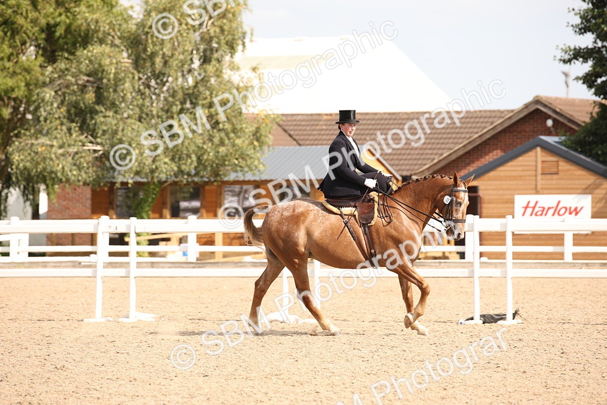 SBM_06744 - Class 24 Concours d'elegance