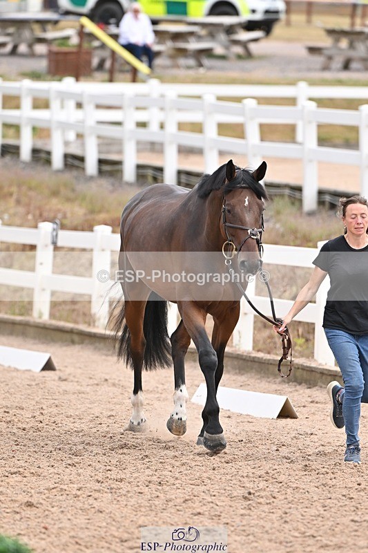 250716-143033-01142 - Trot Up 2.30 to 3.30