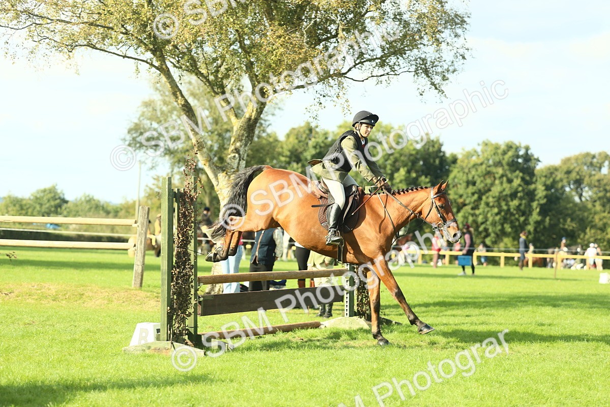 SBM_50570 - S33 - Working Hunter & Working Show Horse