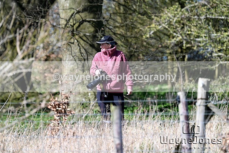 WJ7_9484 - Edited examples..