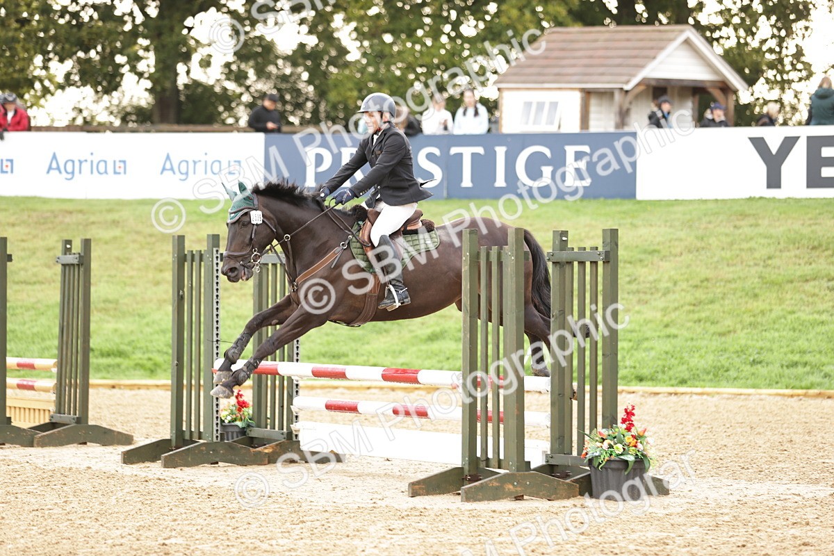 SBM_32973 - J38 - Senior Horse & Pony 80cm Championship