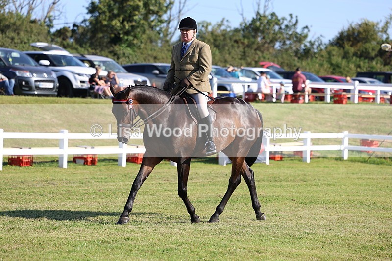 3E7A5412 - Class 2: Rising Star Large Hack/Riding Horse