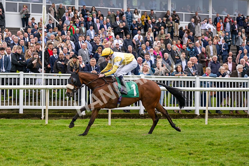 040524-Race 2-Wobwobwob-4098 - Race 2