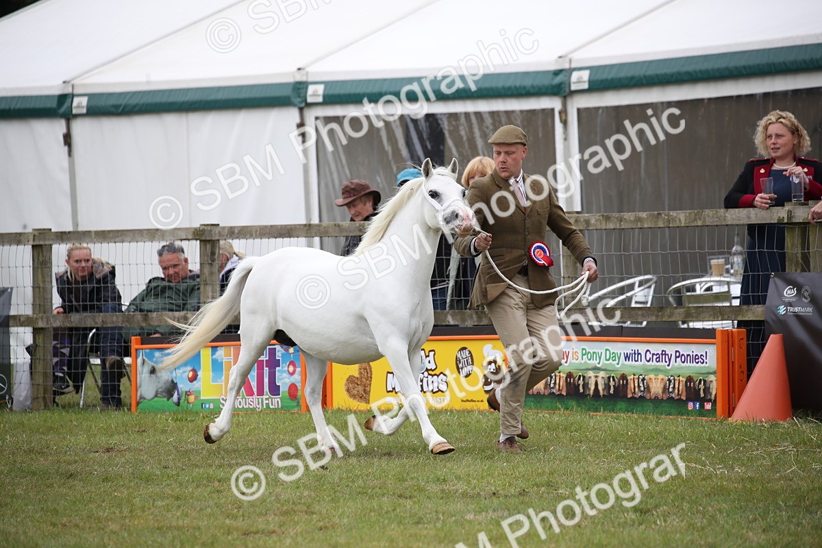 SBM_09773 - Ch 50 - Price Family Supreme In Hand